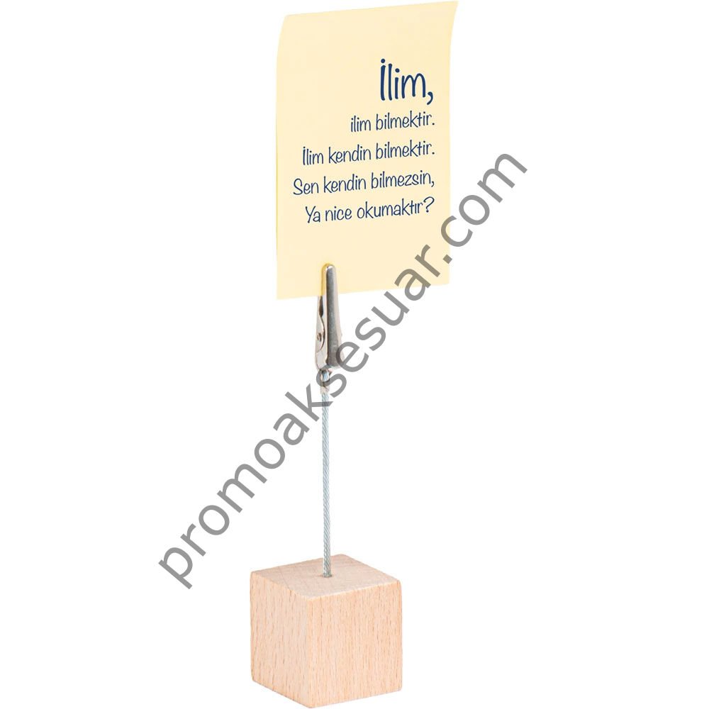 NT-100 Masaüstü Organizerler