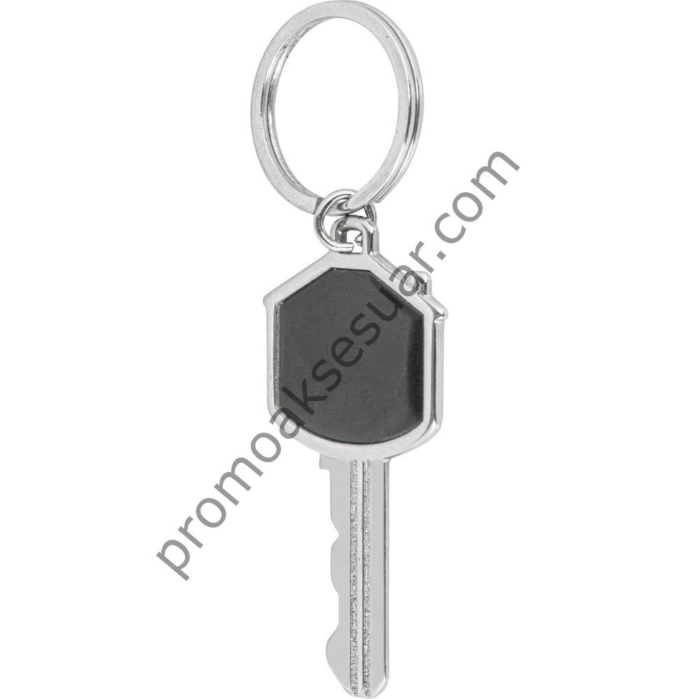 AN-3085 Anahtarlıklar