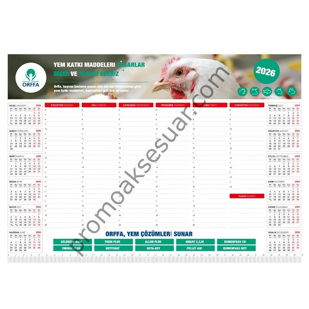 MS-20-32x12 Bloknotlar ve Sümenler