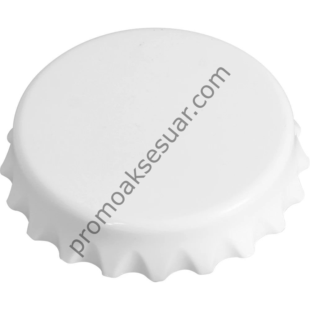 1670 Açacaklı Magnetler