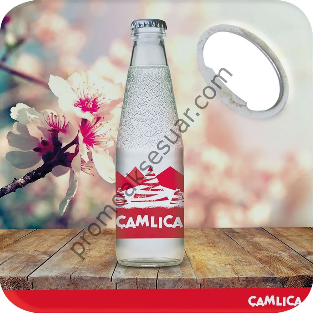 1650 Açacaklı Magnetler