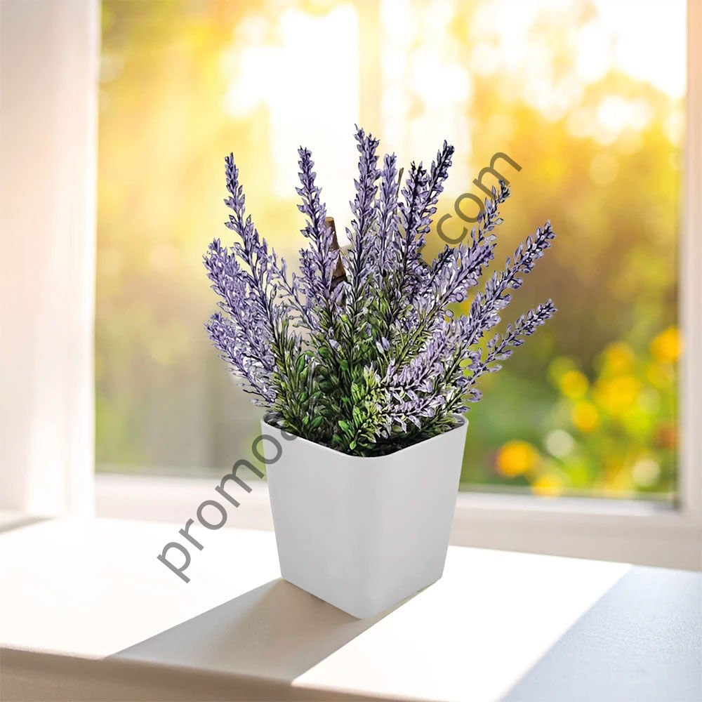 CK-2015 Bitki Yetiştirme Setleri