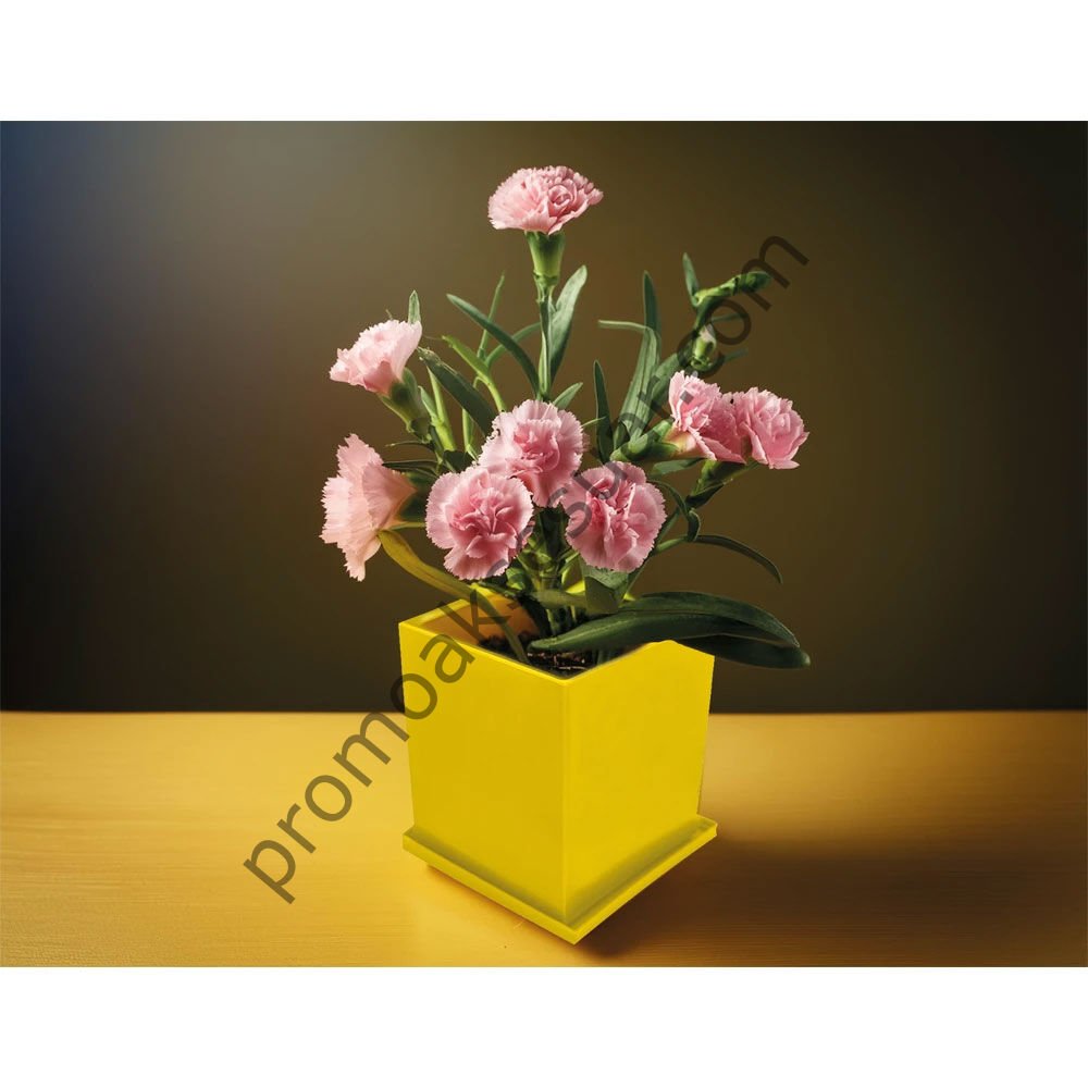 CK-2035 Bitki Yetiştirme Setleri